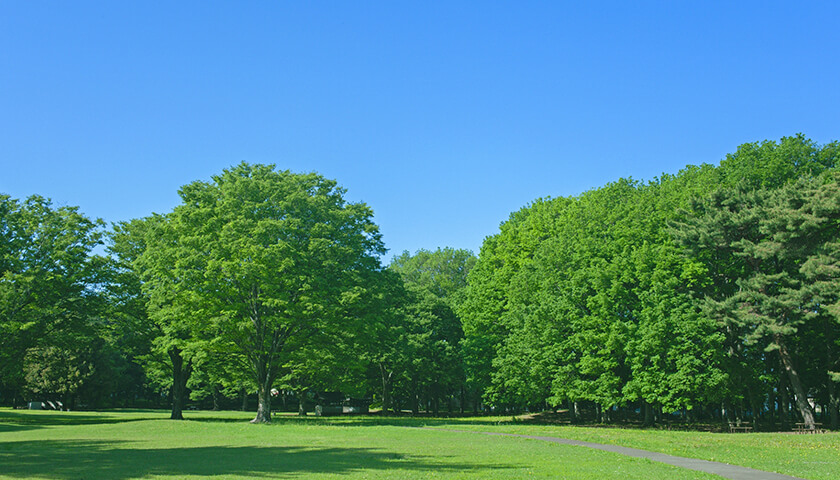 ������˴���ʤꡢ�����Τʤ�������㡣�����¤ˤʤ�ʤ�������